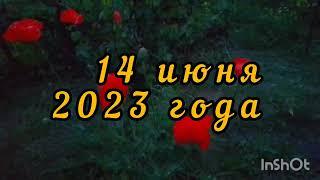 №448. Странички дачного дневника14 июняРассвет... Закат...