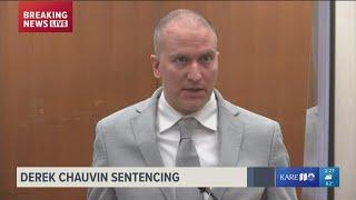 Derek Chauvin makes brief cryptic statement at sentencing