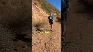 CodyKo spotted on a hike