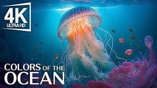 Aquarium 4K VIDEO UHD  The Vibrant Colors of Marine Life - Sea Animals For Relaxation