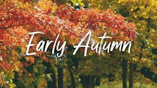 4k 3시간 가을에 듣기 좋은 힐링음악  아침음악 명상음악 스트레스해소음악 Early Autumn