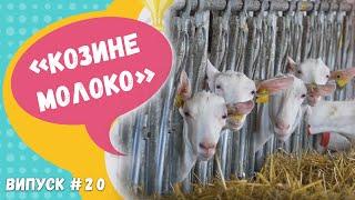 AgriKids #20 - Козине молоко