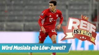 Das wäre eine „schmutzige Nummer“ Reif spricht über Bayern-Talent  Reif ist Live