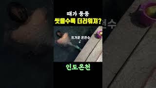 때 나올 정도로 온천을 한 거겠지? 인도 온천마을 바쉬쉿