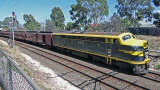 RARE TRAIN SIGHTINGS & VR S313 Turns 60 through Melbournes Inner Northern Suburbs