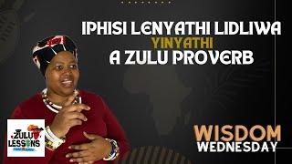 Zulu Proverb  Iphisi Lenyathi Lidliwa Yinyathi  Izaga  zululessons.com  Learn Zulu Beginner