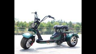 Citycoco Tricycle 3 Wheel Electric Scooter 2000W 40AH Chopper Motorcycle Electric Tricycles Adult