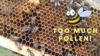 PollenHoney Bound Bee Hive