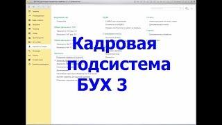 Подсистема зарплата и кадры в 1С Бухгалтерии 3.0