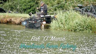 LIVE MATCH FISHING Fish O Mania  Moorlands Farm Fishery  Qualifier 10  27.06.20