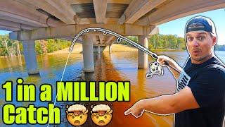 UNBELIEVABLE Trophy Fish Catch you have to See to Believe...