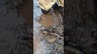 Leather boots stuck in mud wet and destroy
