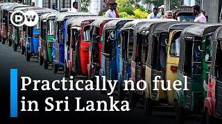 Fuel shortage Every day has become a battle for survival in Sri Lanka  DW News