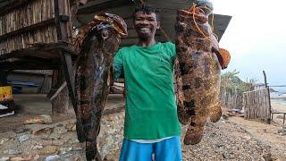 Jackpot Napalaban sa 2 Big Marbled Grouper o Loba  Catch and Sell