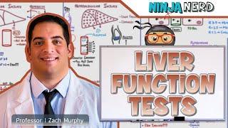 Liver Function Tests LFTs  Clinical Medicine