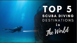 Best Dive Locations in The World 2021 Guide