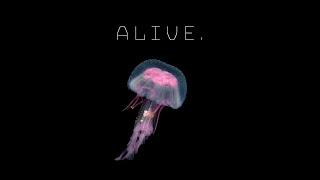 ALIVE.