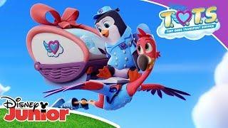  Bringing This Baby Home  T.O.T.S  Disney Junior Arabia