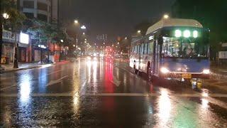 Walking in the Rainy Street Calms Our Night. Sound for Sleep. Korea. Relaxing White Noise. ASMR.