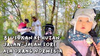 JALAN-JALAN SORE VERSI ORANG NORWEGIA 