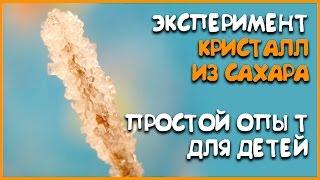 Как вырастить кристаллы из сахара? Эксперименты для детей. Опыт для детей с сахаром DIY