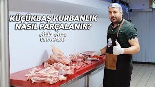 Küçükbaş kurbanlık nasıl parçalanır? #Şenpiliç #UstaKasap