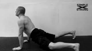 Great Gama Protocol  Dands साधारण दण्ड aka Hindu pushups  SIMPLEXSTRONG