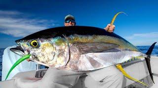 MASSIVE Yellowfin Tuna....Catch Clean Cook