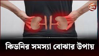 কিডনি রোগের লক্ষণ প্রতিরোধে কী করবেন?  Kidney diseases  kidney failure Channel 24