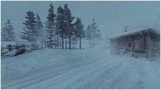 Frosty Blizzard Sounds for Sleeping & Freezing Wind┇Improve Mental Health & Anxiety┇Sleep Hygiene