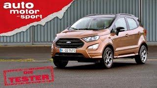 Ford Ecosport 2019 Warum steht da Sport drauf? - Die Tester  auto motor und sport