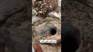 غطاء جرن المال الحقيقي