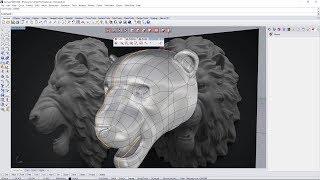 Lion Head Modeling Tutorial - Clayoo SubD for Rhino