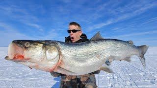 4 Day Fishing + Hunting Catch & Cook in an Inuit Village Best Ice Fishing in the World