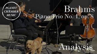 Analysis Brahms Piano Trio No. 1 in B Major op. 8  Lee  Roozeman Sunwoo