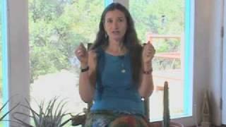 Shamanic Studies Basic Shamanic Journeying by Sandra Ingerman