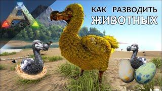 Как разводить животных в ARK Survival Evolved