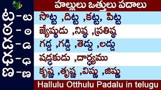 ట ఠ డ ఢ ణ ta tta da dda nna Otthulu Padalu  vatthulu padalu  ఒత్తులు పదాలు #halluluvattupadalu