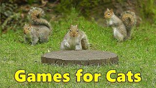 Cat Games  Catch The Squirrels