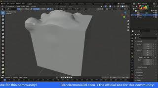 Blender LIVE Mastermind 25