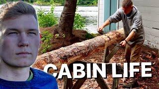 REBUILDING AN OLD CABIN  S2 EP17