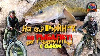 На РЫБАЛКУ на ФЭТБАЙКАХ с СЫНОМ #fatbike #fishing #fish #фэтбайк #рыбалка