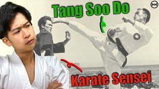 Japanese Karate Sensei Reacts To Tang Soo Do For The FIRST Time