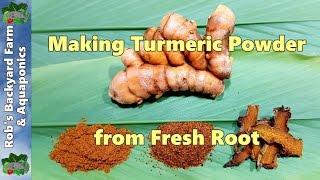 How to Make Turmeric Powder from Fresh Home Grown Root.