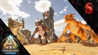 ARK SCORCHED EARTH BEST WAY TO GET YOUR FIRST WYVERN EGG AND TAME A WYVERNS