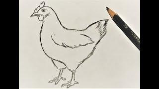 How to draw a Chicken Hen  Easy Pencil Drawing