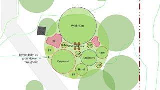 Step-by-Step Tutorial Designing a Juglone Walnut & Pecan Plant Guild