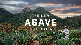 YETI Agave Collection  Color Inspired By True Events™