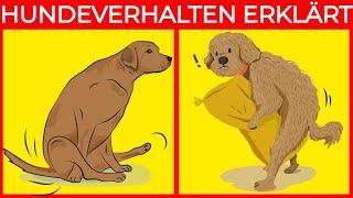 Die Bedeutung der 21 seltsamsten Hundeverhaltensweisen  Fantastische Fakten über Hunde