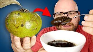 Black Sapote - The Fruit that TASTES LIKE CHOCOLATE PUDDING Does IT??